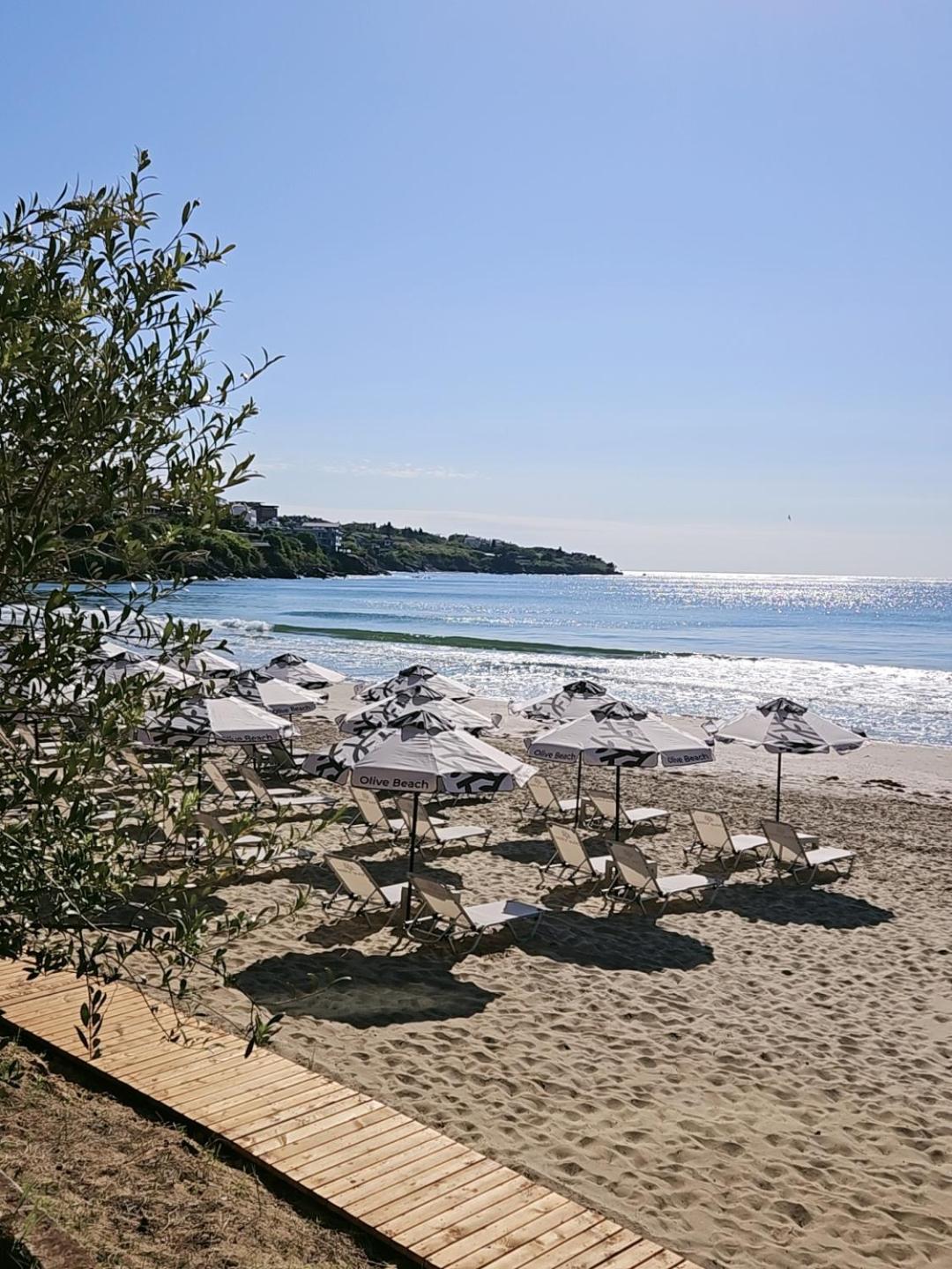 Olive Villas Beach Hotel Sozopol Eksteriør bilde
