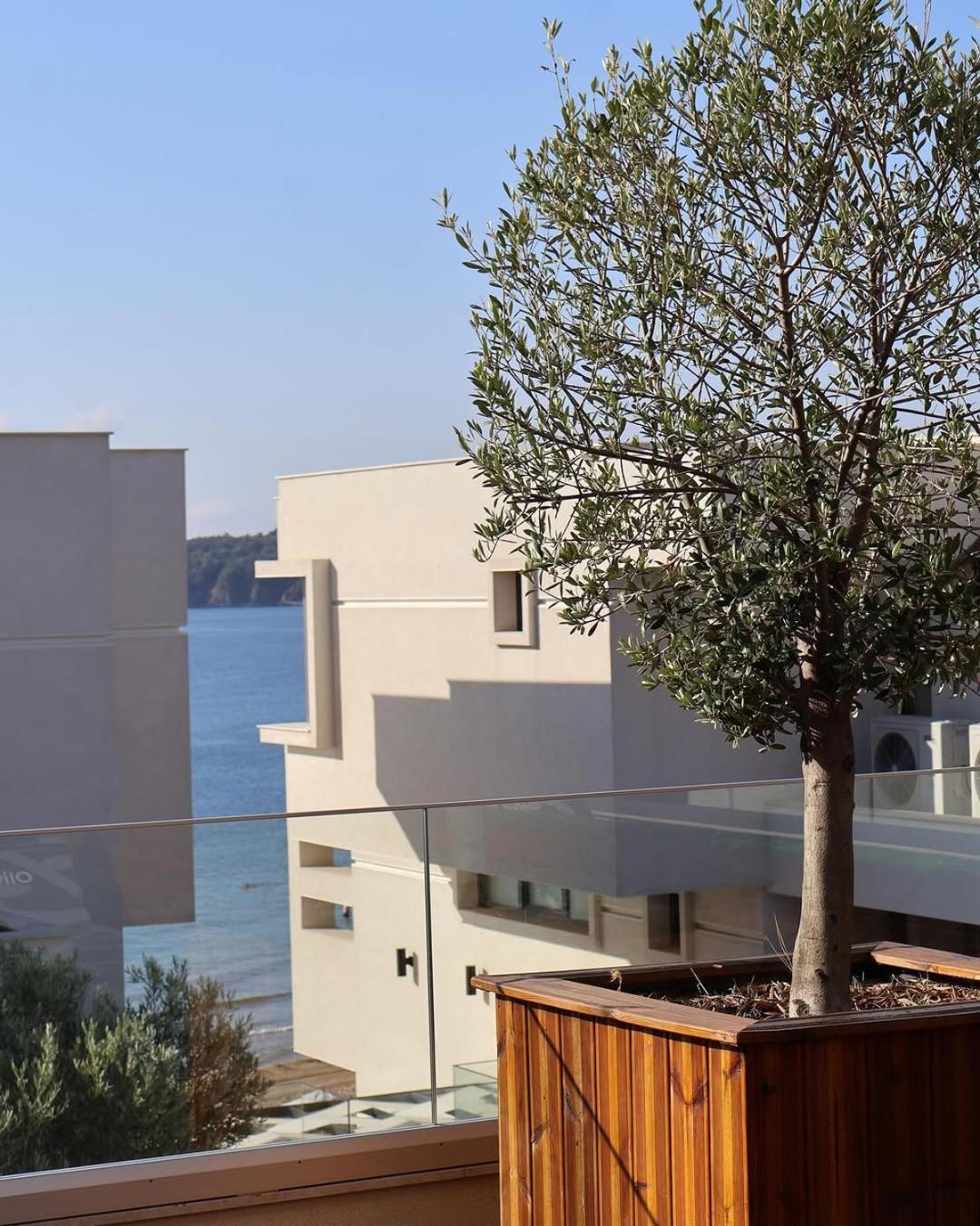 Olive Villas Beach Hotel Sozopol Eksteriør bilde
